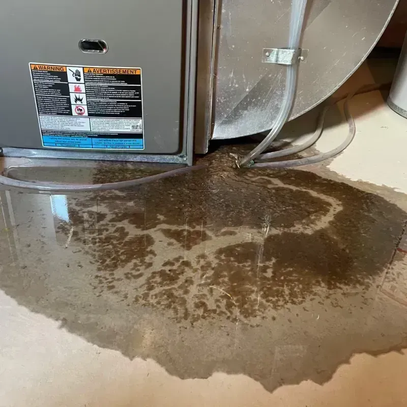 Appliance Leak Cleanup in Everett, PA